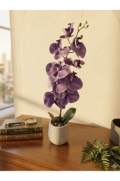 co arma Artificial Orchid Flower with Glass Vase Beautiful and Exquisite Shap...
