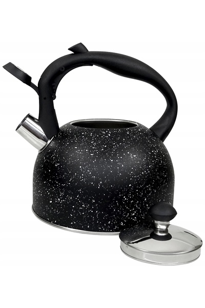 Brunbeste Fierbător cu fluier 2,5L din oțel, pentru inducție și gaz