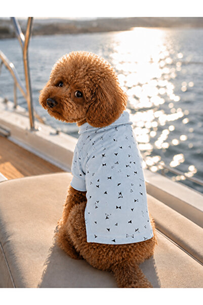 MİNİŞ PET BUTİK Miniş Marine Blue Small Breed Dog Pique Fabric Polo T-Shirt