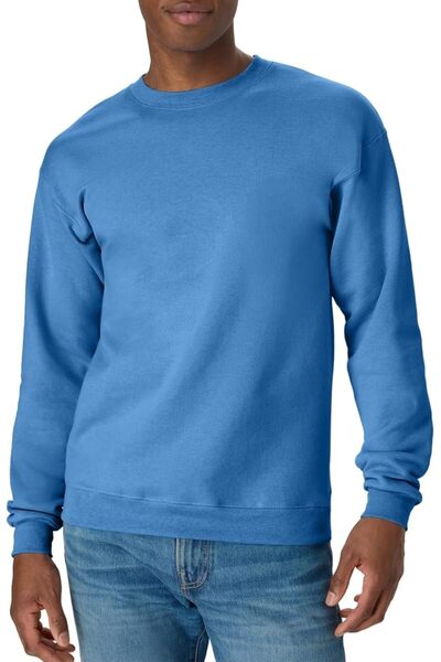 HANES Men's EcoSmart Sweatshirt