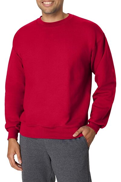 HANES mens Men's Ecosmart Fleece Sweatshirt Hooded Sweatshirt (pack of 1)