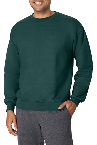 HANES mens Men's Ecosmart Fleece Sweatshirt Hooded Sweatshirt (pack of 1)