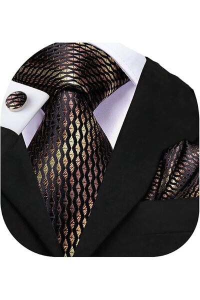 Dubulle Mens Paisely Silk Tie for Men Necktie and Pocket Square Set