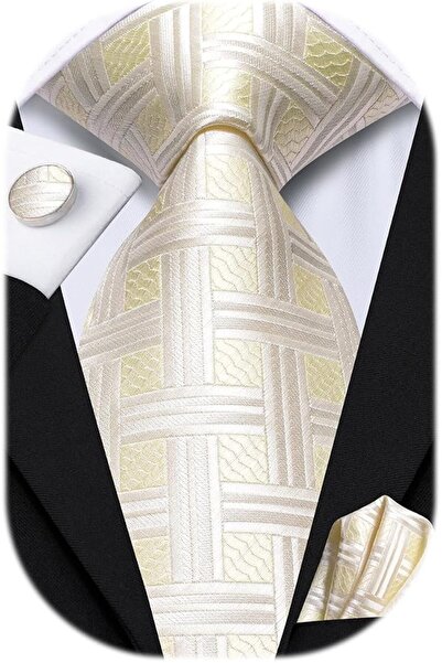 Dubulle Mens Paisely Silk Tie for Men Necktie and Pocket Square Set
