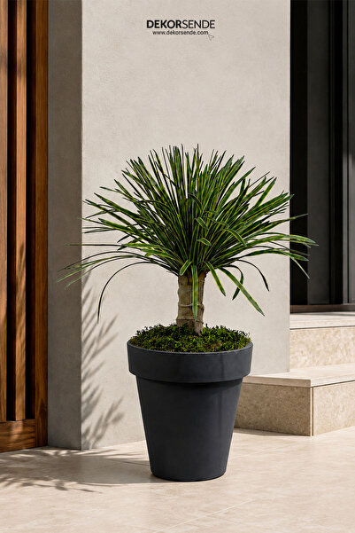 Dekorsende Yapay Yucca Filamentosa Ağaç Sarı Yeşil 65 cm