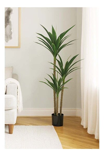DRAMA HOME Artificial Dracaena Tree, 160 cm Tall, for Indoor Decoration | Hig...