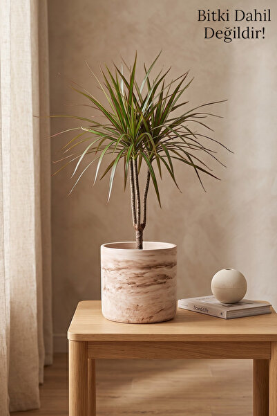 Binbirdemet Dekoratif Beton Saksı – Silindir 19,5x18 cm