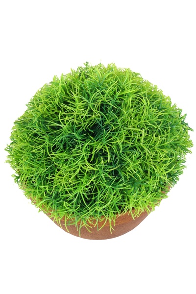 NO BRAND Plantă artificială decorativă – iarbă în ghiveci de ceramică de 25 c...