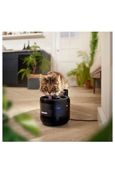 Philips Fântână automată de apă pentru pisici PAW3210/02