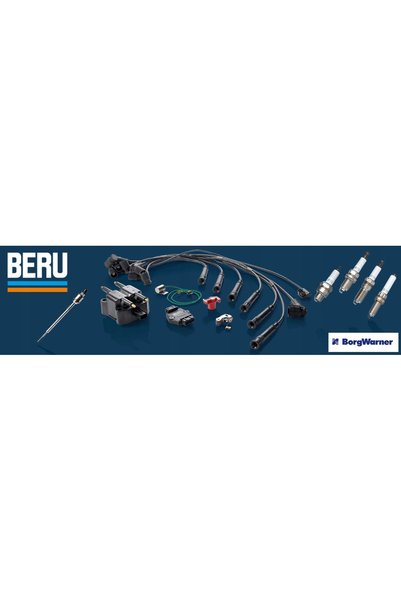 BorgWarner (Wahler) Bobină de aprindere ZS245 BERU