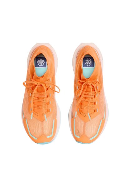 THE NORTH FACE حذاء M OFFTRAIL ULTRA للرجال NF0A8G53TTS1 44
