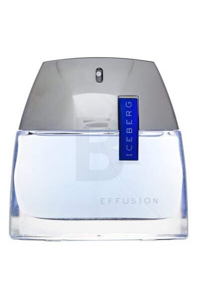Iceberg Effusion Man Eau de Toilette for Men 75 ml