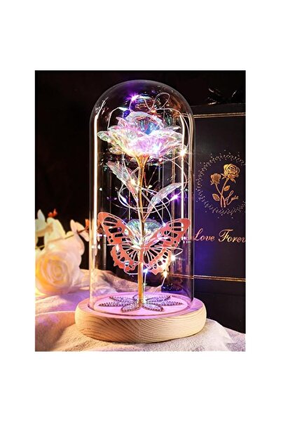 Generic Romantic LED Light Forever Rose Gift - Artificial Flower in Glass Dom...