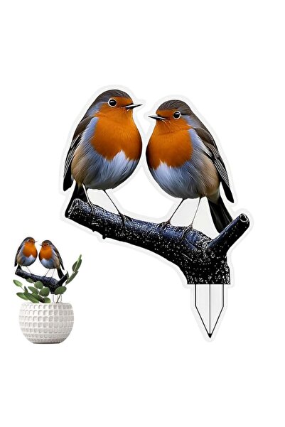 Generic Excefore Robin Acrylic Garden Stake, Weather Resistant Bird Ornament ...