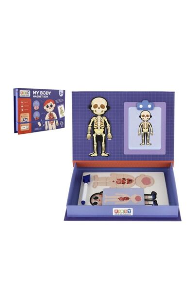 Generic Brand Joc educativ magnetic Corpul uman, puzzle cu organe, schelet si...