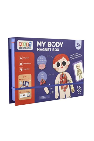 Generic Brand Joc educativ magnetic Corpul uman, puzzle cu organe, schelet si parti ale corpului, jucarie educativa pentru copii, 3 ani+