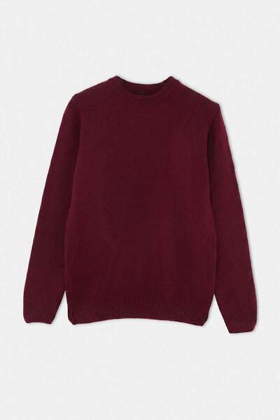 Trendyol Kollektion Burgunderroter Oversize/Sweatshirt mit weitem Schnitt und...