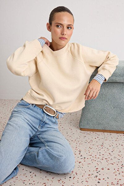 Trendyol Collection Stone Thick Fleece Lined Oversize/Wide Cut High Neck Ragl...