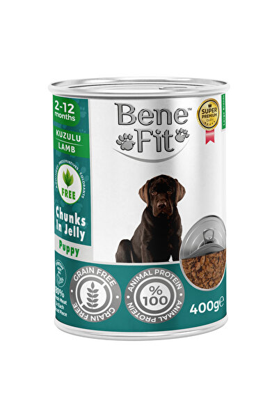 BENEFIT Hrana umeda caine junior, bucati miel in sos 400 g, super premium, cr...