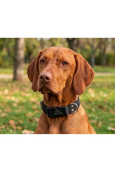 hebmeyy Köpek tasması, kişiye özel köpek boyun tasması, künye isimlikli boyun...