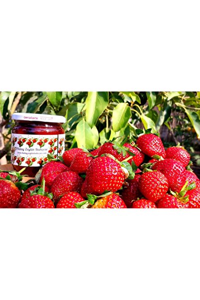 snmgıda Çilek Reçeli %100 Doğaldır. 700 Gram. Yeni Sezon Üretimidir.