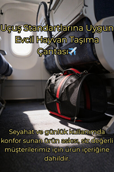 VİGİ STORE VG Flybag Yırtılmaz Fileli Kedi ve Köpek Taşıma Çantası | Kabin Bo...