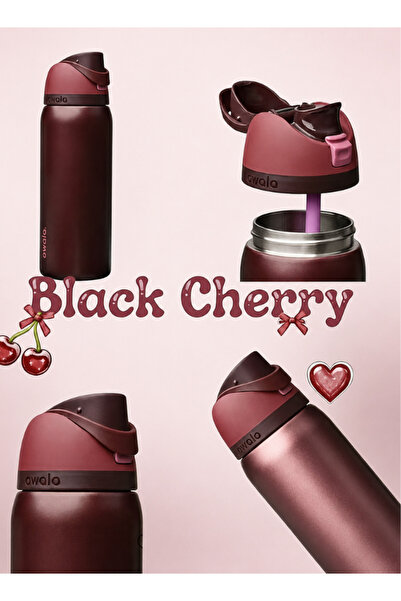 owala 32 OZ. 945 ML Stainless Steel Water Bottle, Black Cherry