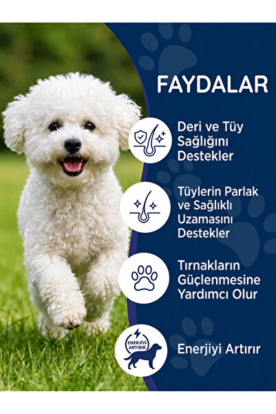 Dr. Nature's Köpek Biotin Tablet 75 Tablet – Deri ve Tüy Sağlığı Destekleyici