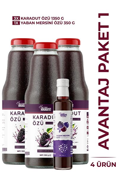 HAVRAN KOCASEYİT 3 Adet Karadut Özü 1350 g + Yaban Mersini Özü 350 g