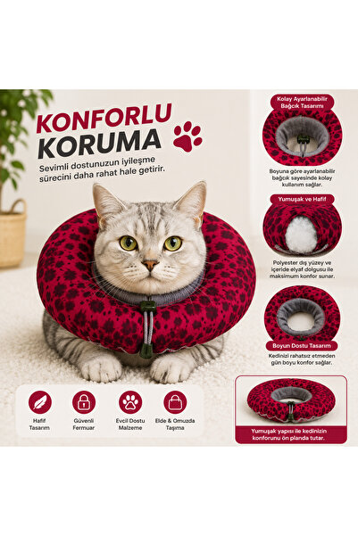 yalıpet Kedi Köpek Boyunluk - Koruyucu Elizabeth Yaka & Tırnak Kesme Yardımcı...