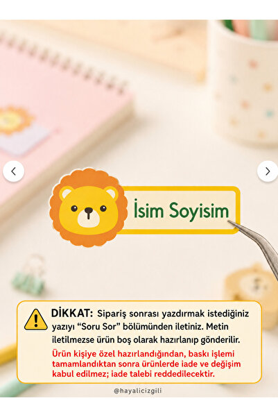 Hayali Çizgili Kişiye Özel İsim Etiketi Sticker Aslan Figürlü 33 Adet A4 Taba...