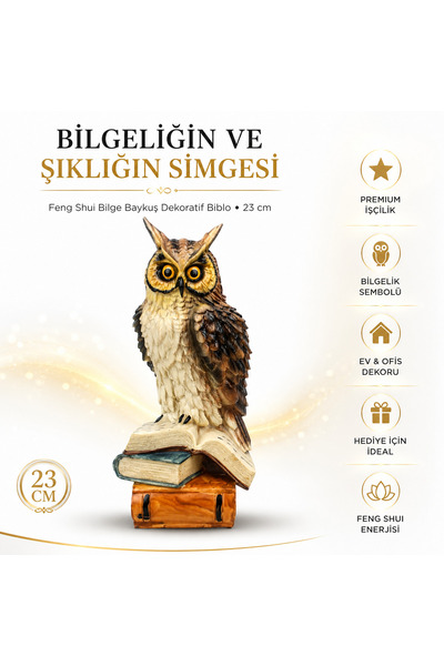 e-life shop Feng Shui Kitap Üzerinde Bilge Baykuş Biblo 23 Cm Dekoratif Ev Of...