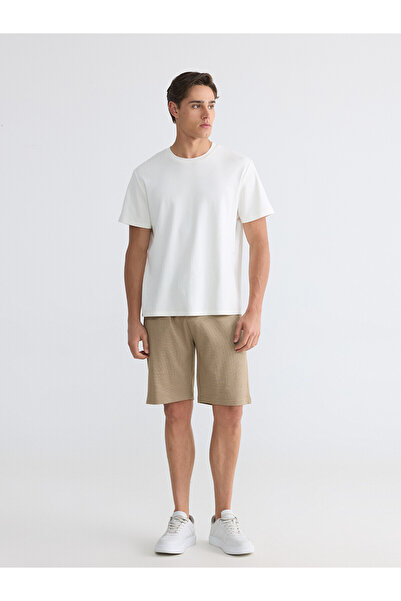 LC Waikiki Trendlucky Regular Fit Men's Shorts with Difference in Color