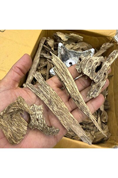 OEMS عود مروكي حي سوبر وسوبر مرتفع - تولة 12 جرام