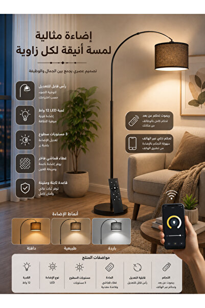 Cady One Floor Lamp with Adjustable Head, 12W Bulb, 3 Dimmable Brightness Lev...