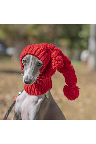 Choice S Red Hand Knit Winter Wool Greyhound Large Dog Beanie Hat Dog Accesso...