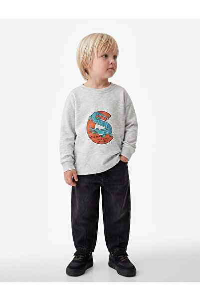 Koton Crocodile Printed Crew Neck Long Sleeve Oversize T-Shirt
