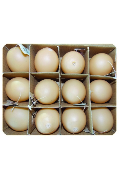 Eastland لعبة البيض البلاستيكية من GLDISPTM (34624) 12 قطعة 5 سم