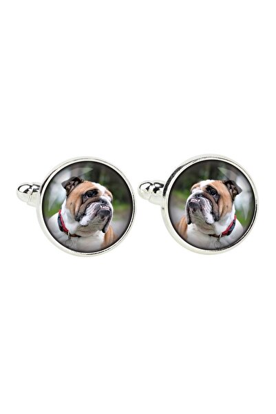 Art - Dog Bulldog, English Bulldog - cufflinks, a shirt accessory, a shirt pe...