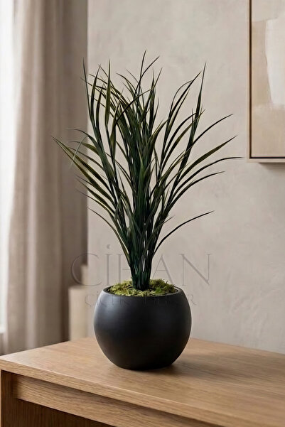Cihan Çiçekçilik Küre Saksılı Koyu Yeşil Yapay Sazlık 80 cm