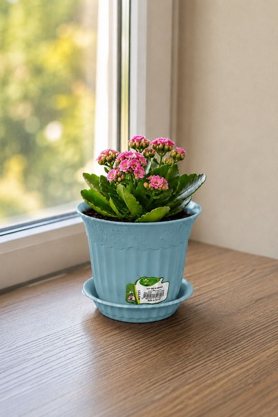 Alezy AS151 Renkli Dekoratif Antik Saksı 1.1 Litre 4'lü Set