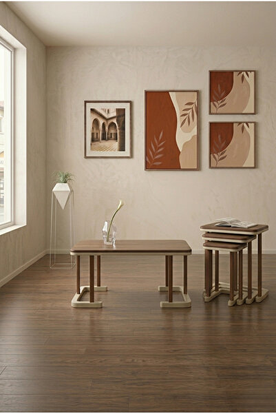 access wood DEMONTE DEKORATİF SEHPA SETİ (ORTA VE 3 LÜ SEHPA)