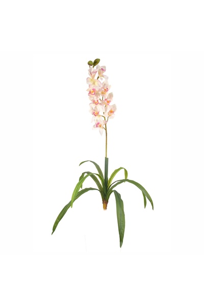 Naimeed Company Artificial flower, Orchid without pot, Naimeed D5639, 130x80 ...