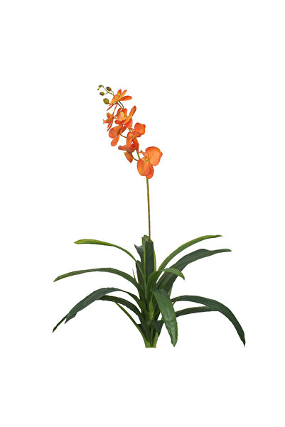 Naimeed Company Floare artificială, Orhidee fără ghiveci, Naimeed D5623, 105x...