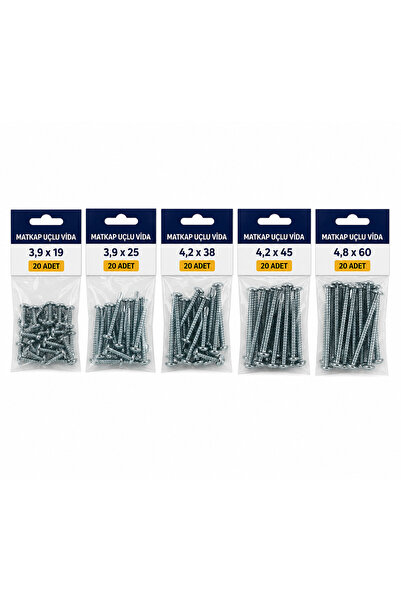 TİGRON Matkap Uçlu Vida Seti 100 Adet 3,9*19- 3,9*25- 4,2*38- 4,2*45- 4,8*60