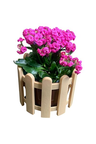 NIOVEL Ghiveci Balustrade 3L, 21cm x 17cm