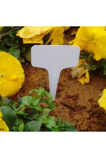 Choice Étiquettes de jardin blanches 100 pièces, en plastique étanche, enfich...