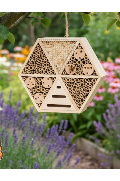 Evendi Casa pentru insecte, Crem