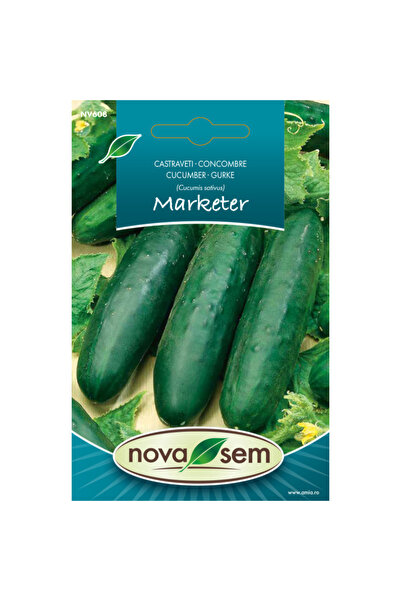 Novasem Seminte de castraveti Marketer Novasem, 1 g