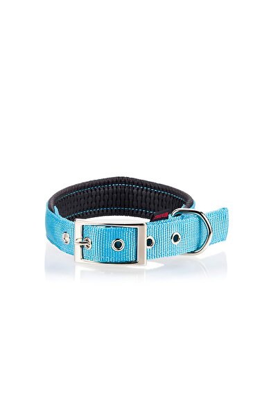 Pet Interest Neoprene Fluo Κολάρο Σκύλου Μπλε Large 25mm x 50cm